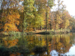 Bij de grote bronvijver in het Springendal